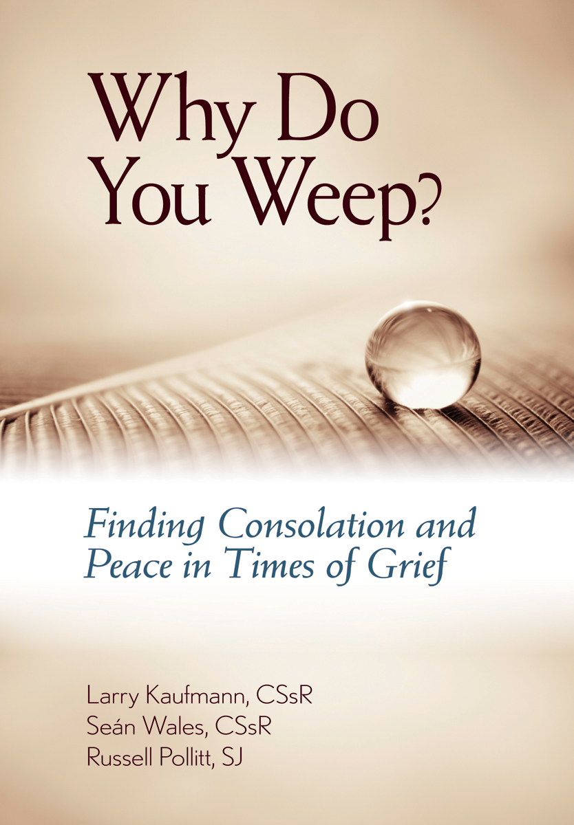 Cover image for Why Do You Weep?