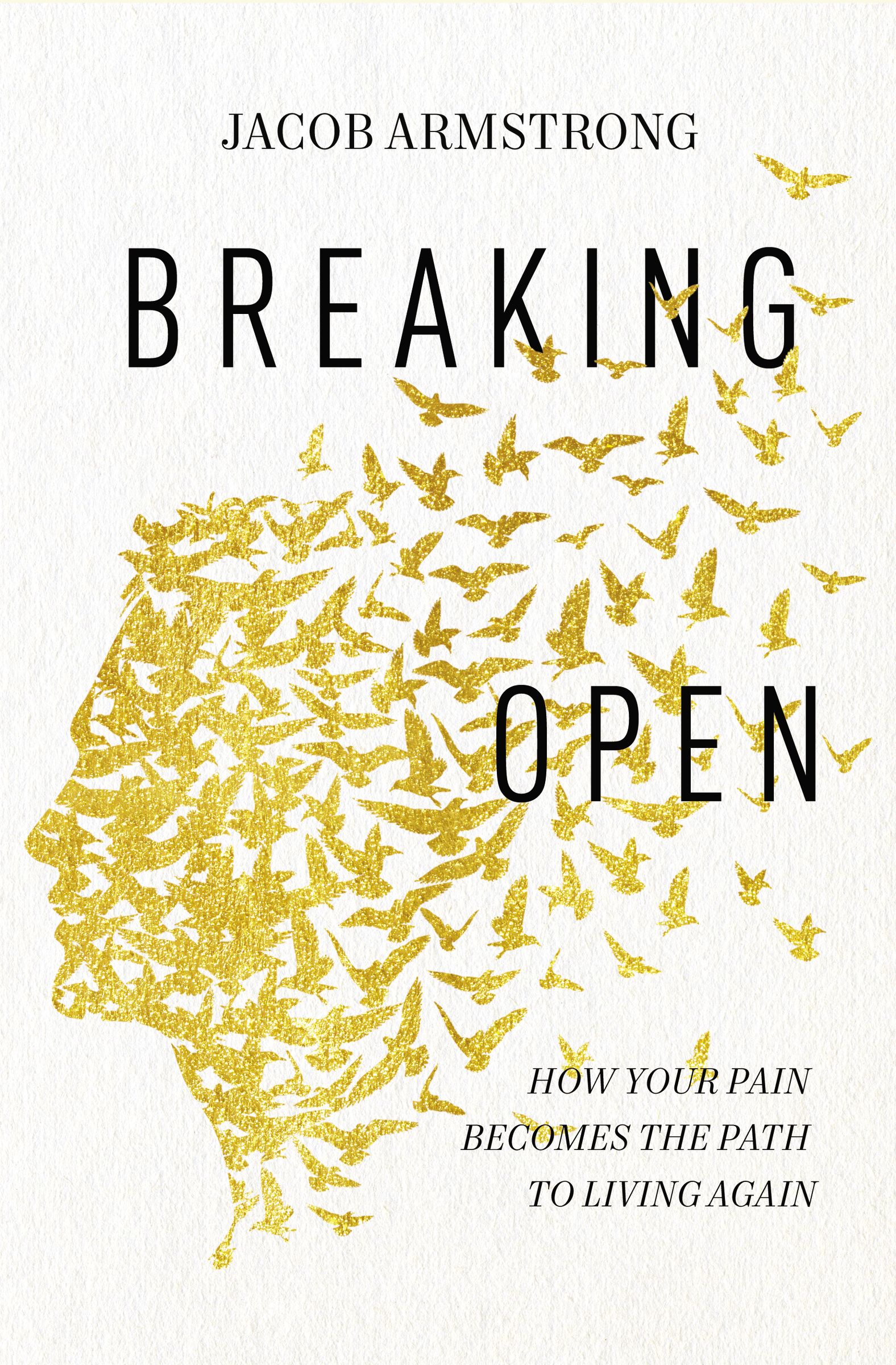 Cover image for Breaking Open