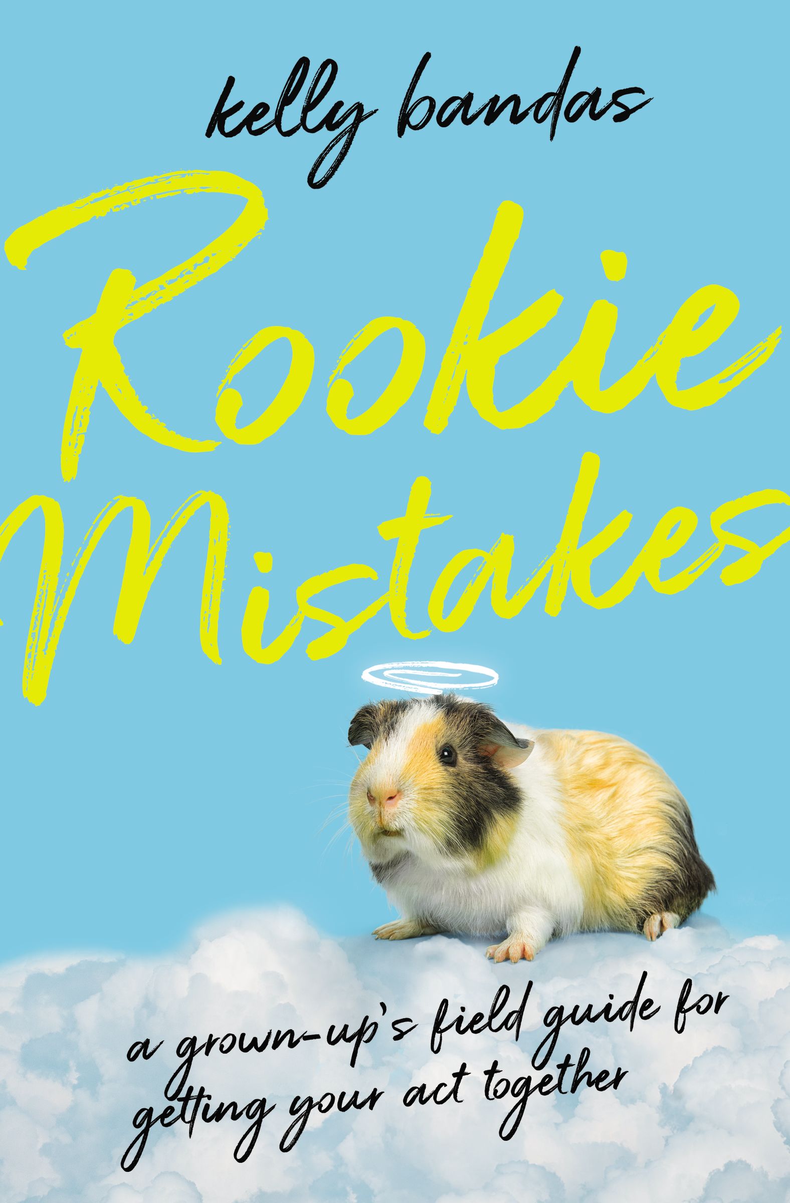 Cover image for Rookie Mistakes