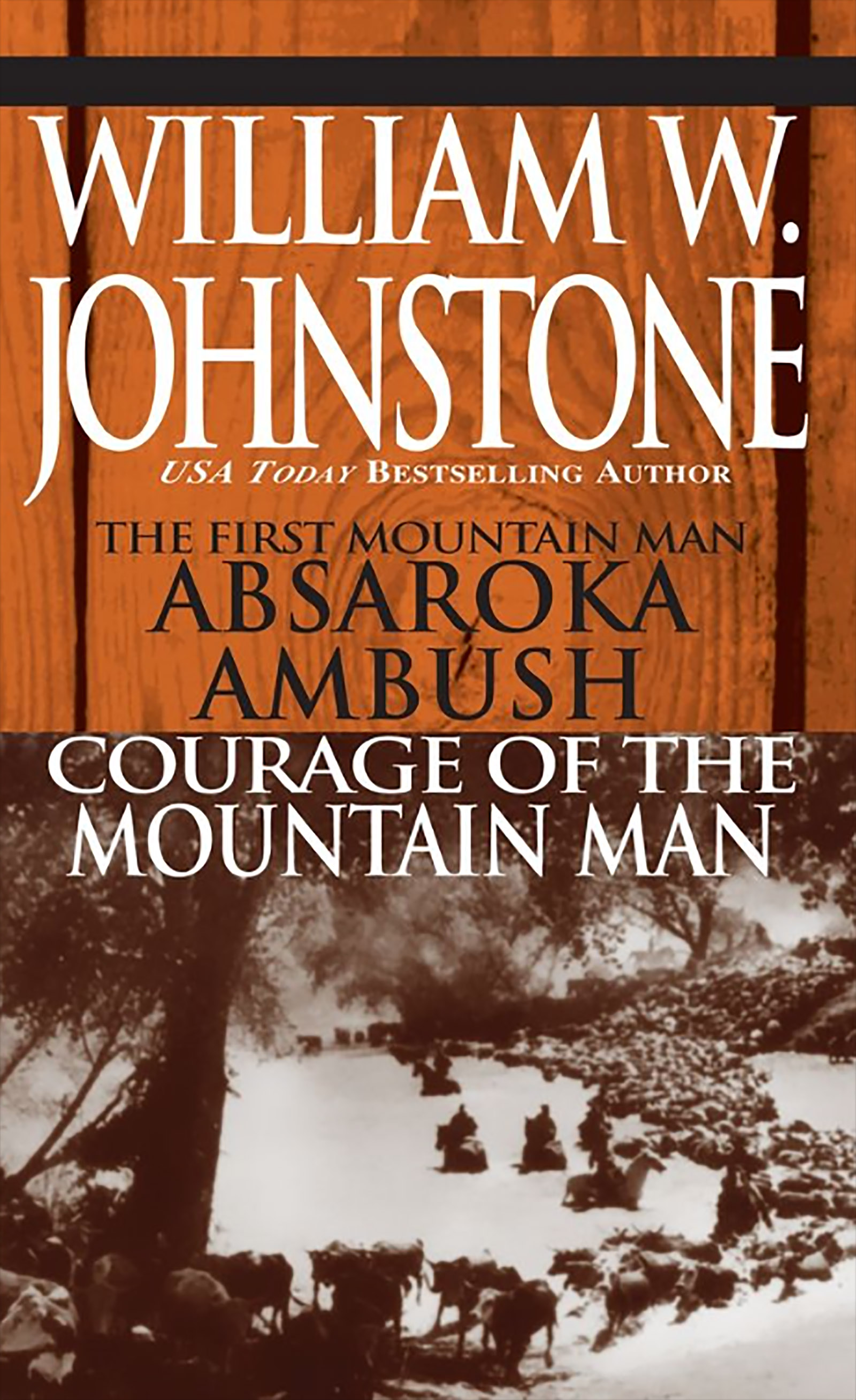 Cover image for Absaroka Ambush (first Mt Man)/Courage Of The Mt Man