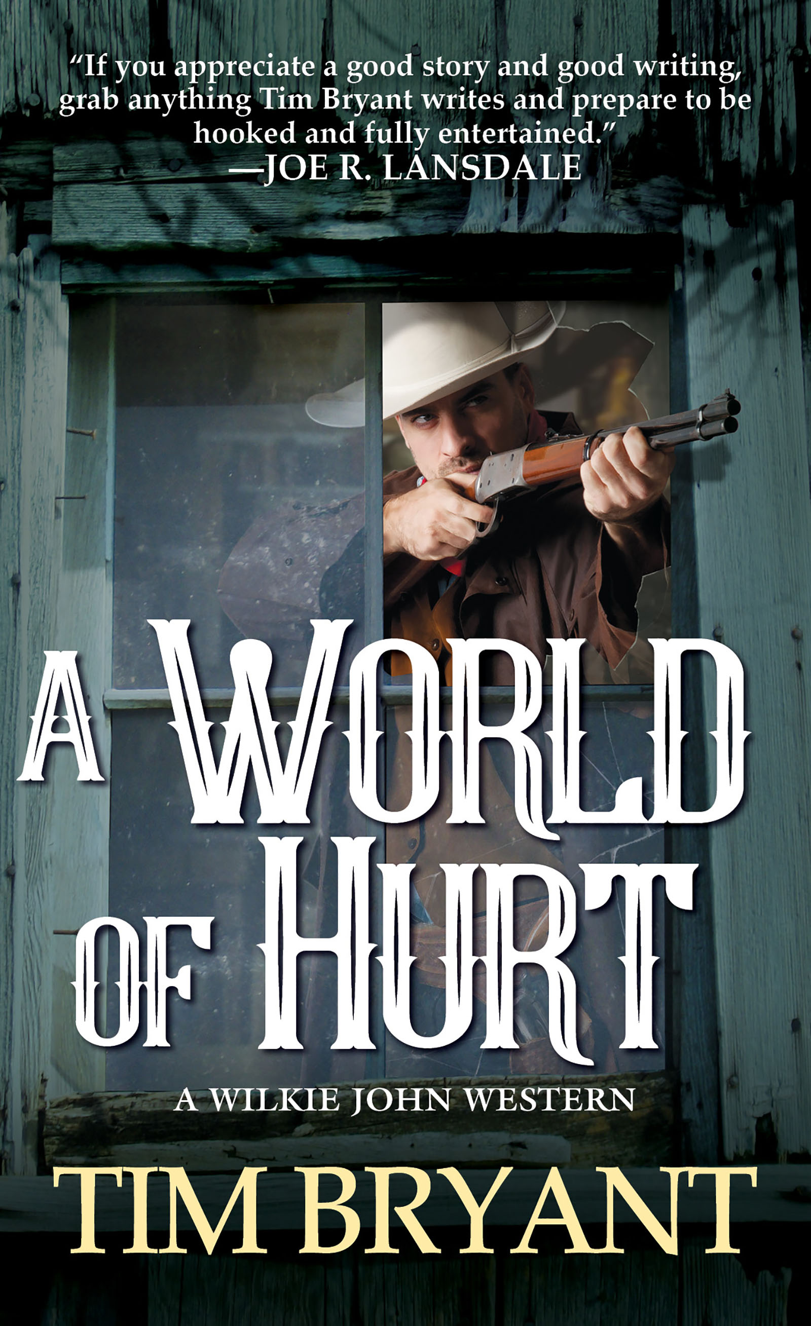 Cover image for A World of Hurt