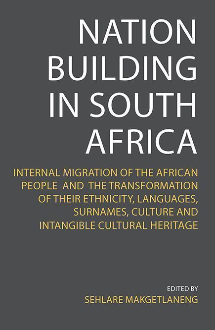 Cover image for Nation Building in South Africa