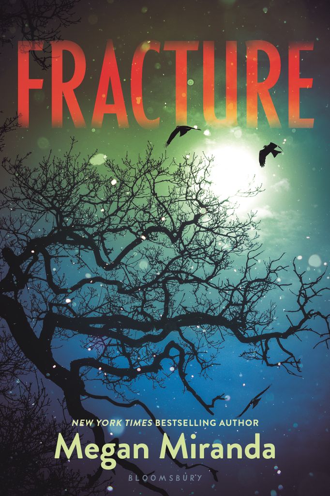 Cover image for Fracture