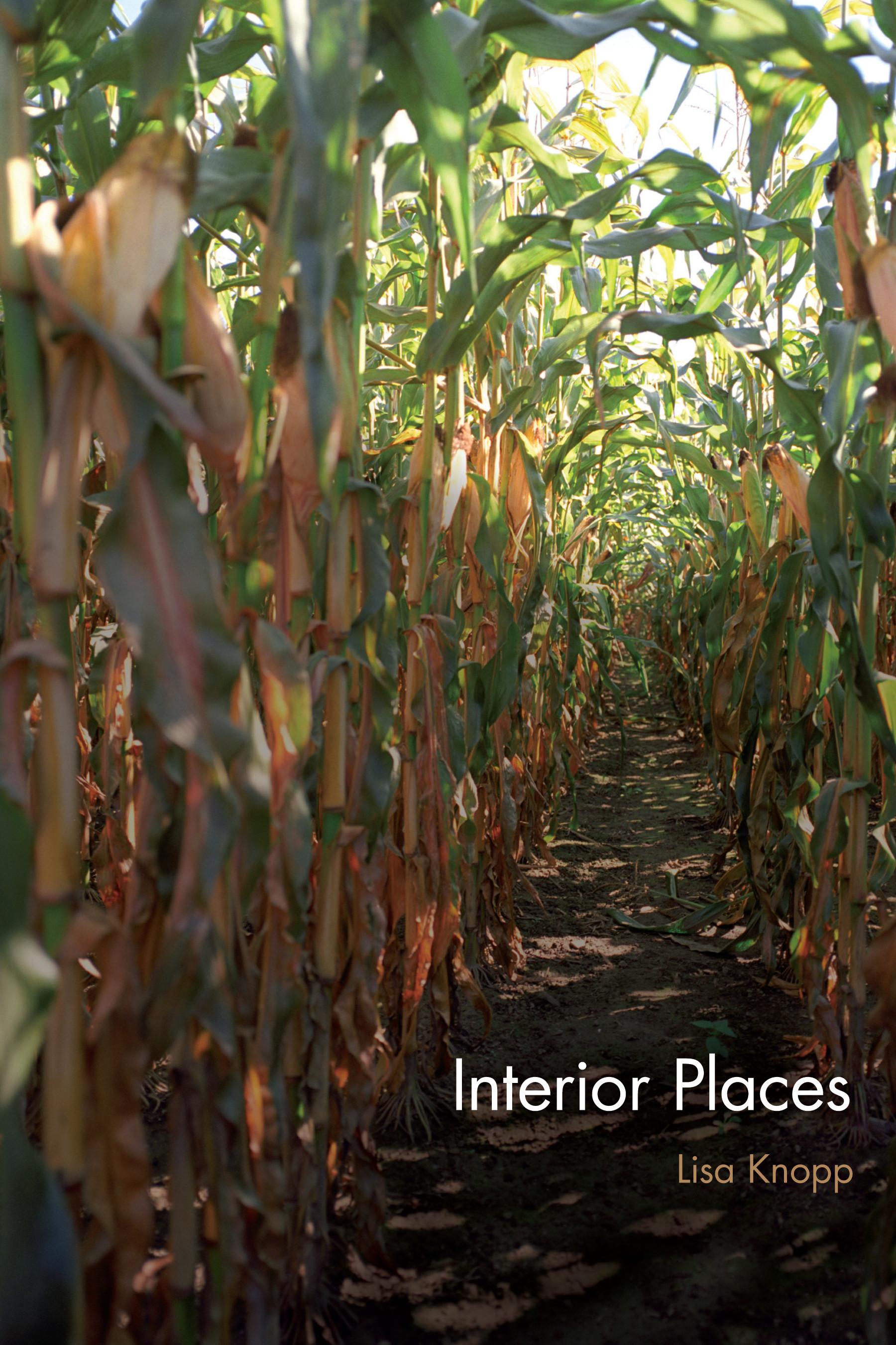 Cover image for Interior Places
