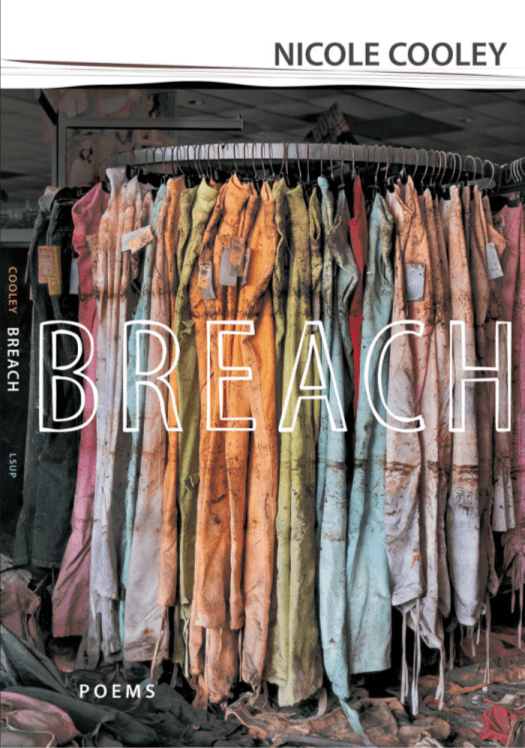 Cover image for Breach