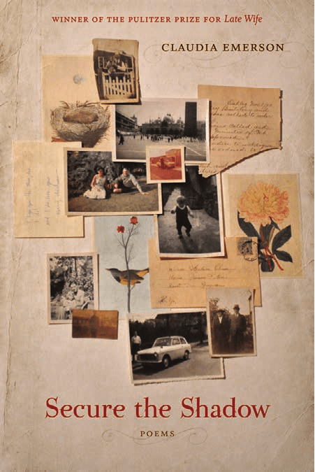 Cover image for Secure the Shadow