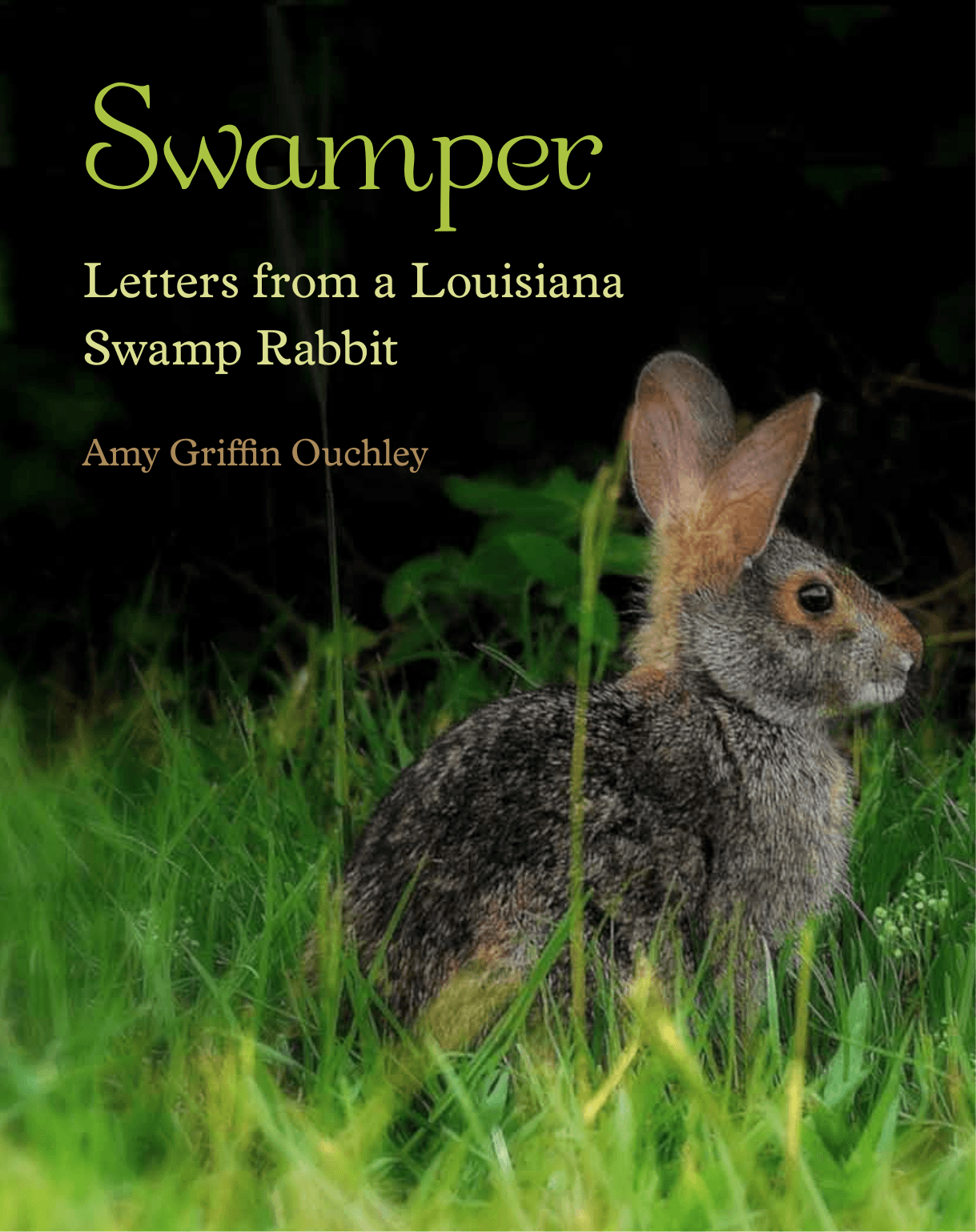 Cover image for Swamper