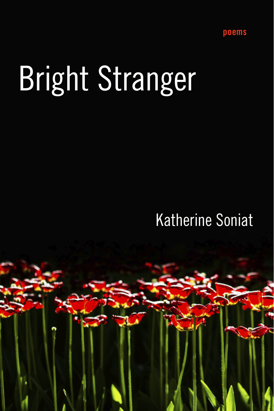 Cover image for Bright Stranger