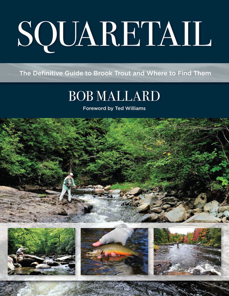 Cover image for Squaretail