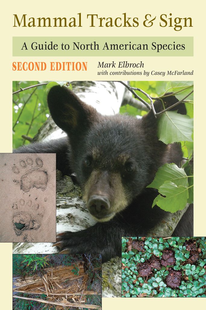 Cover image for Mammal Tracks & Sign