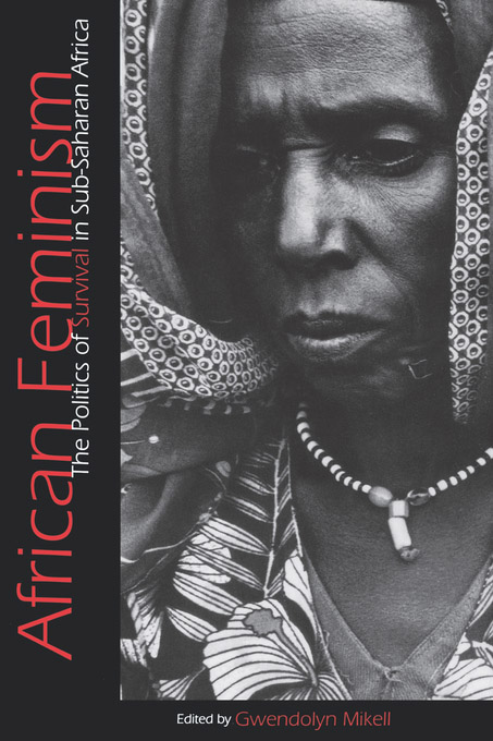 African Feminism