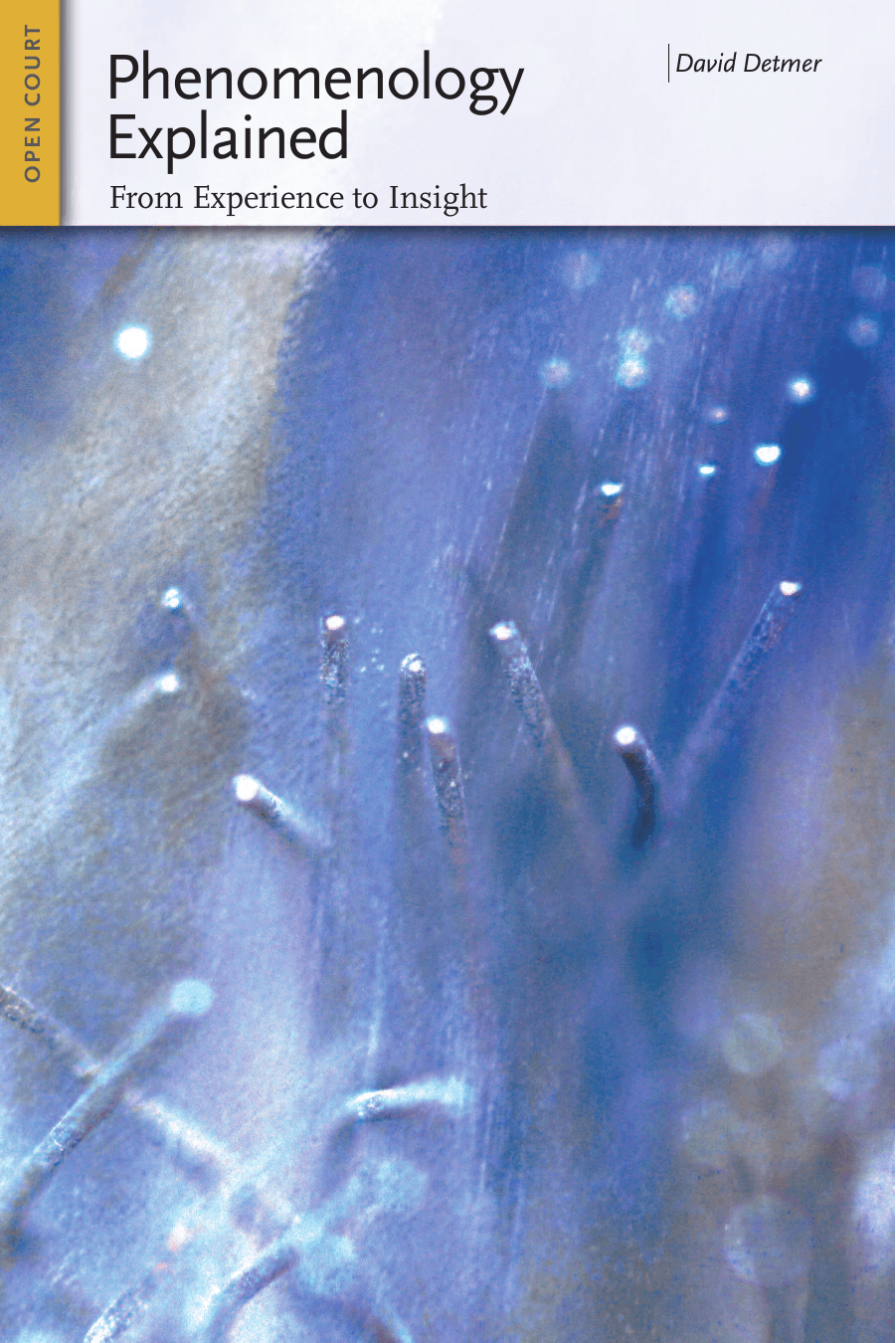 Cover image for Phenomenology Explained