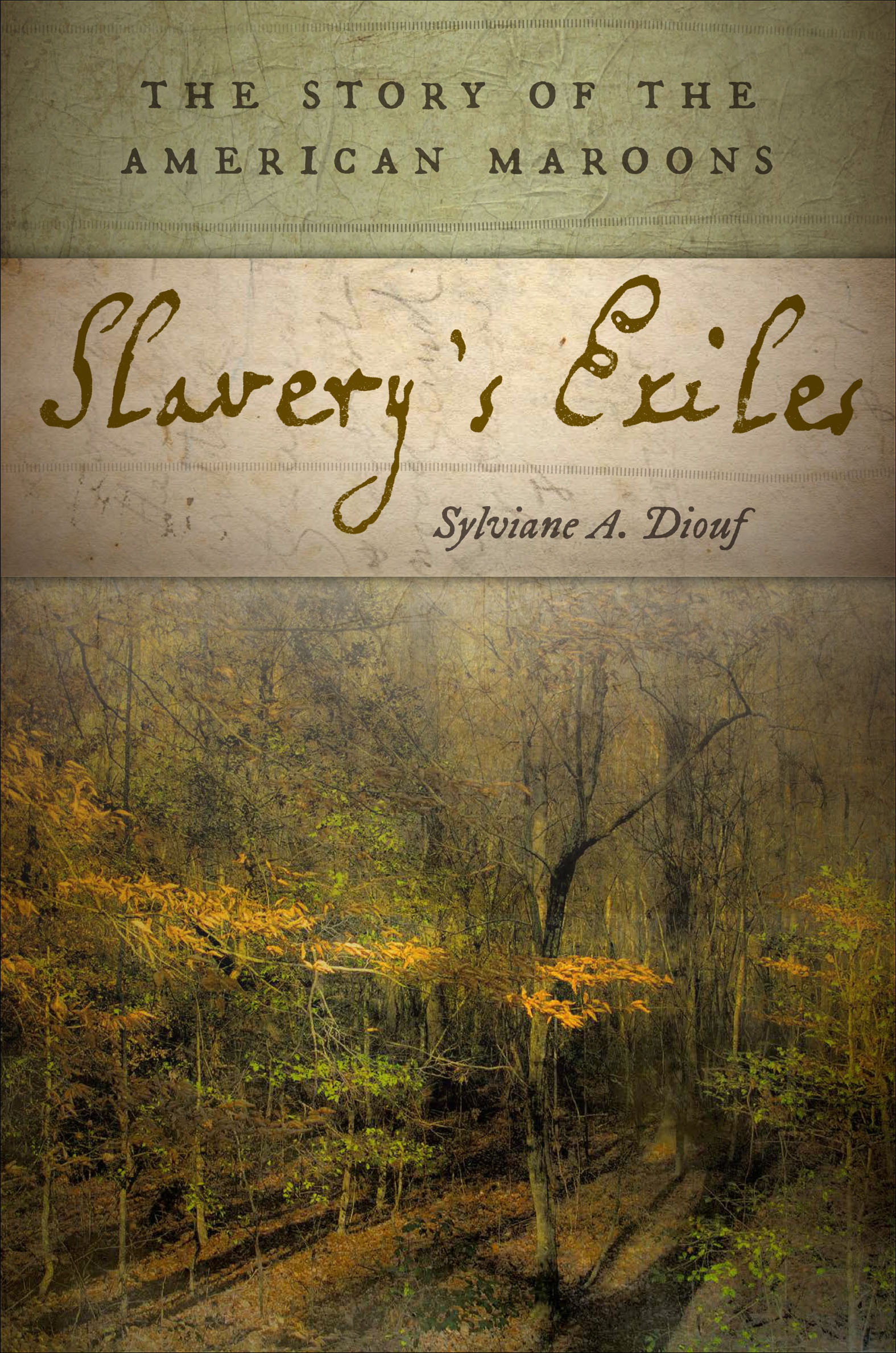 Cover image for Slavery's Exiles