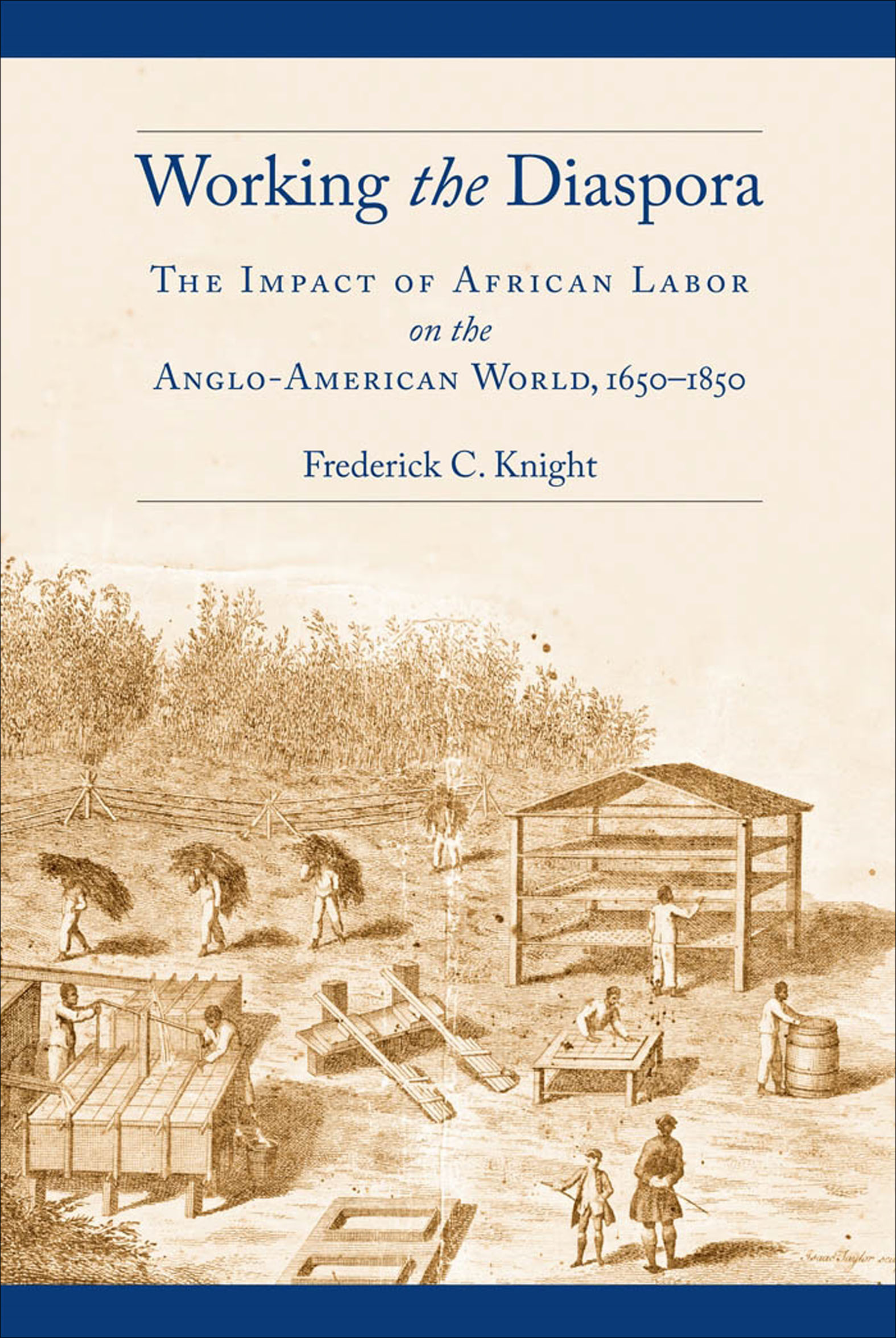 Cover image for Working the Diaspora