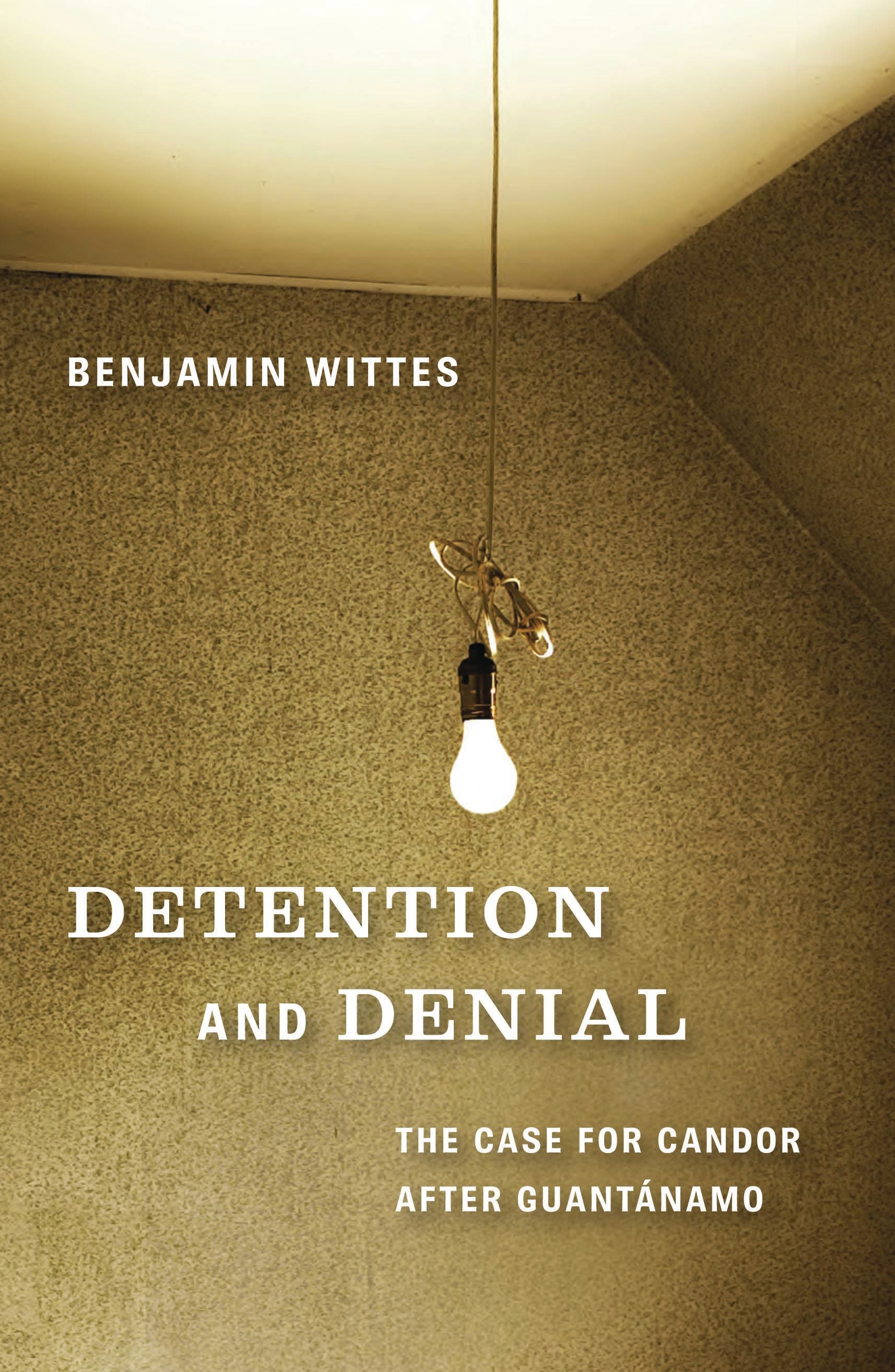 Cover image for Detention and Denial