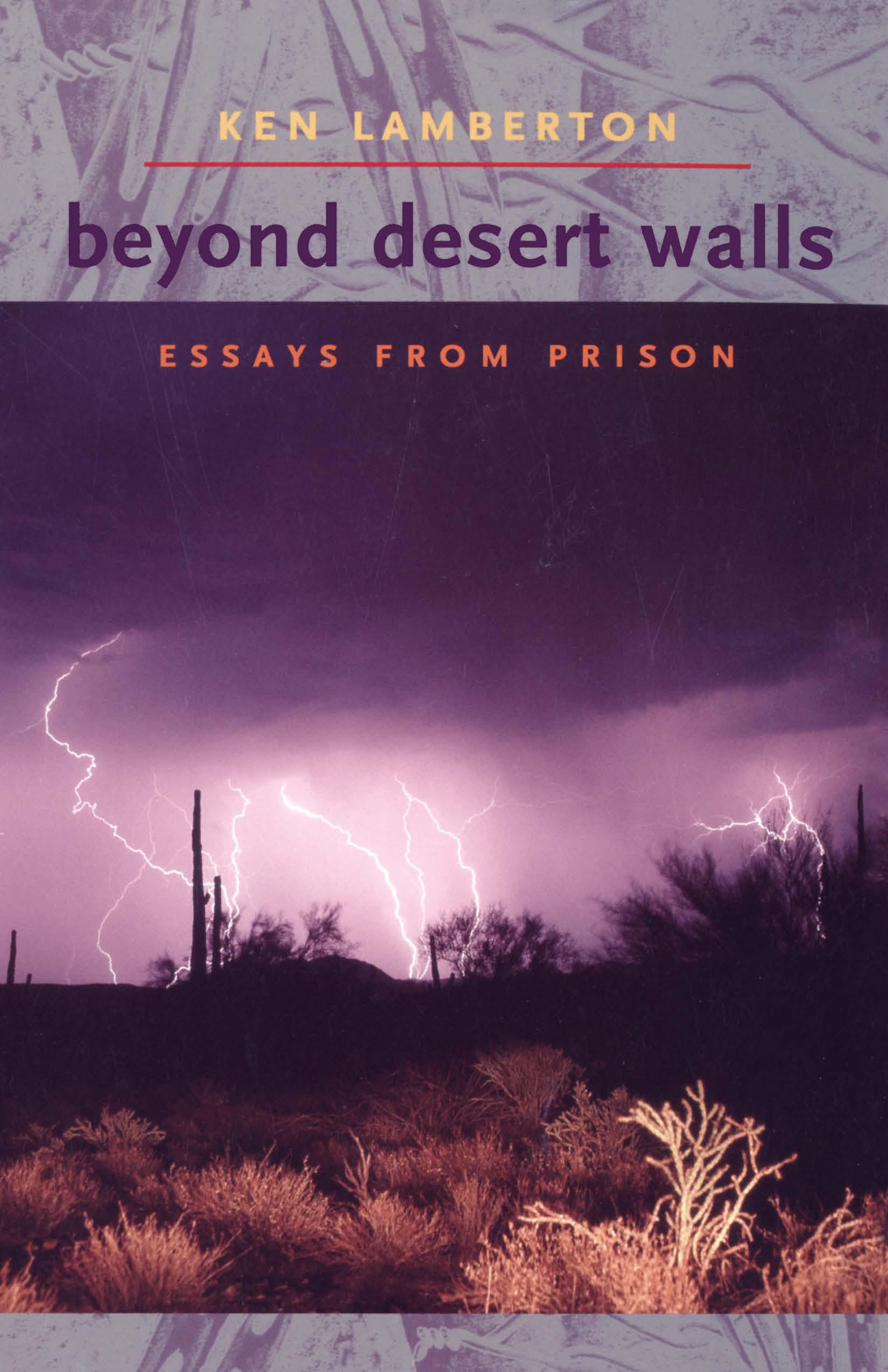 Cover image for Beyond Desert Walls