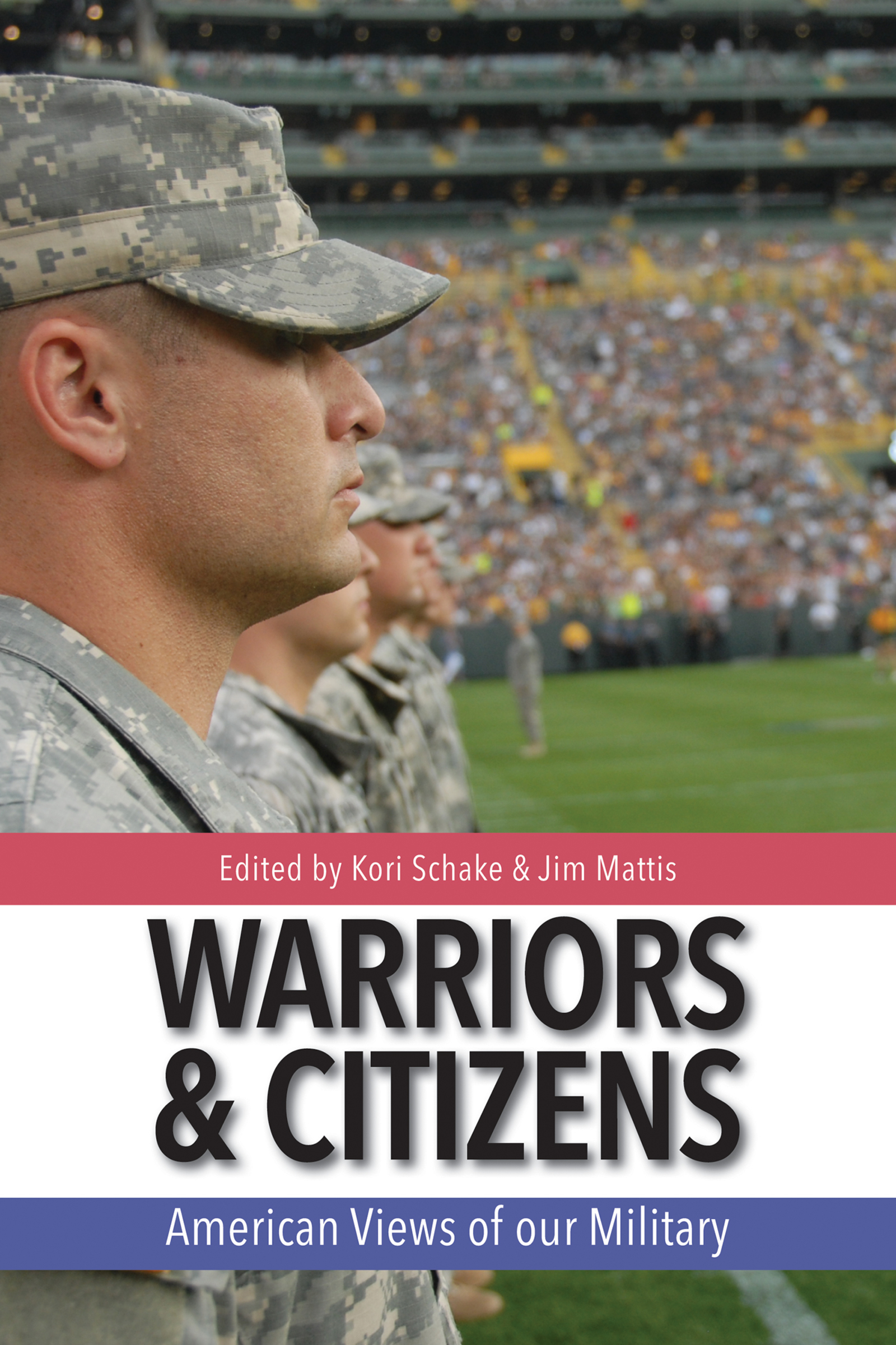 Cover image for Warriors and Citizens