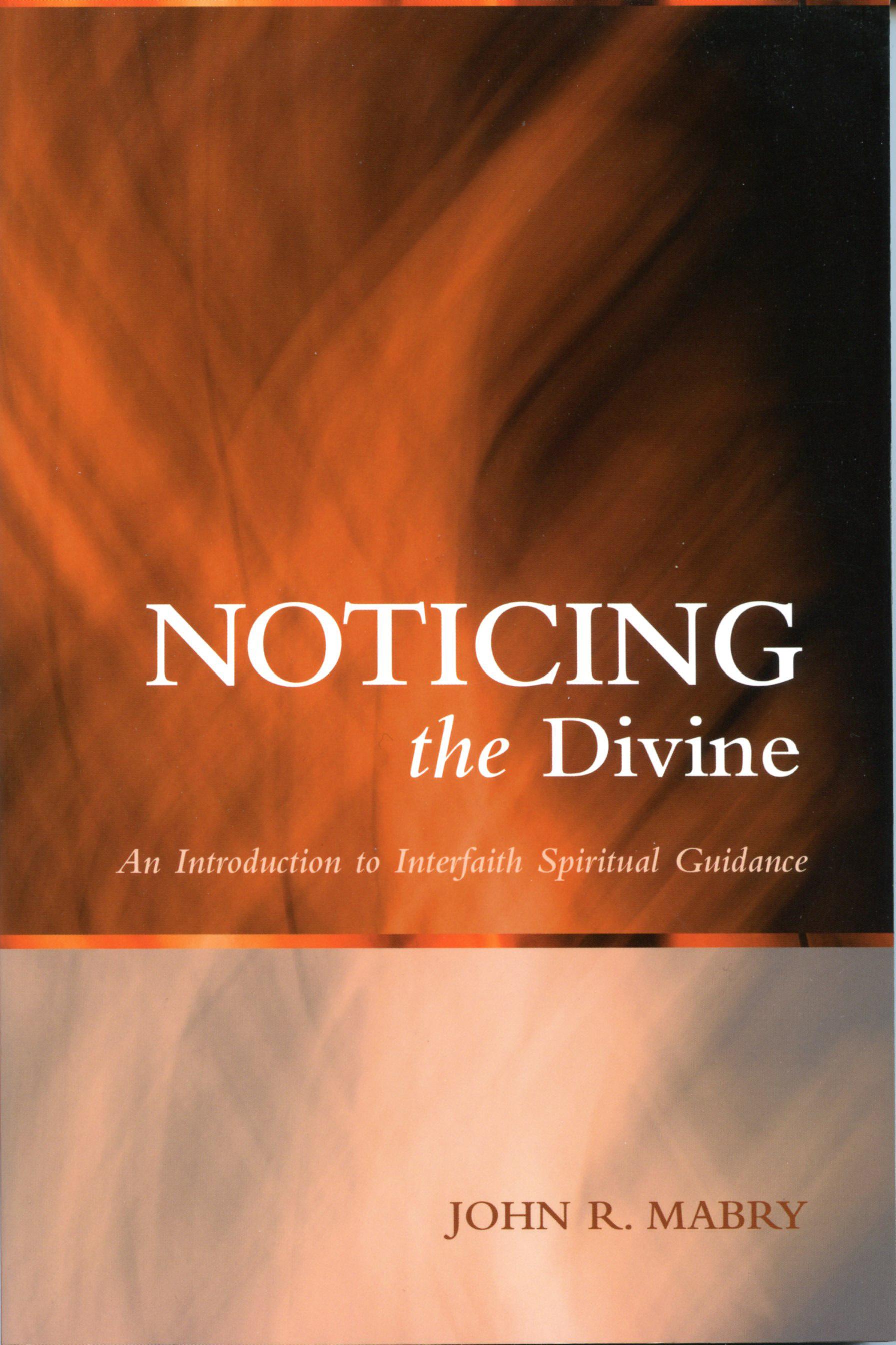Cover image for Noticing the Divine