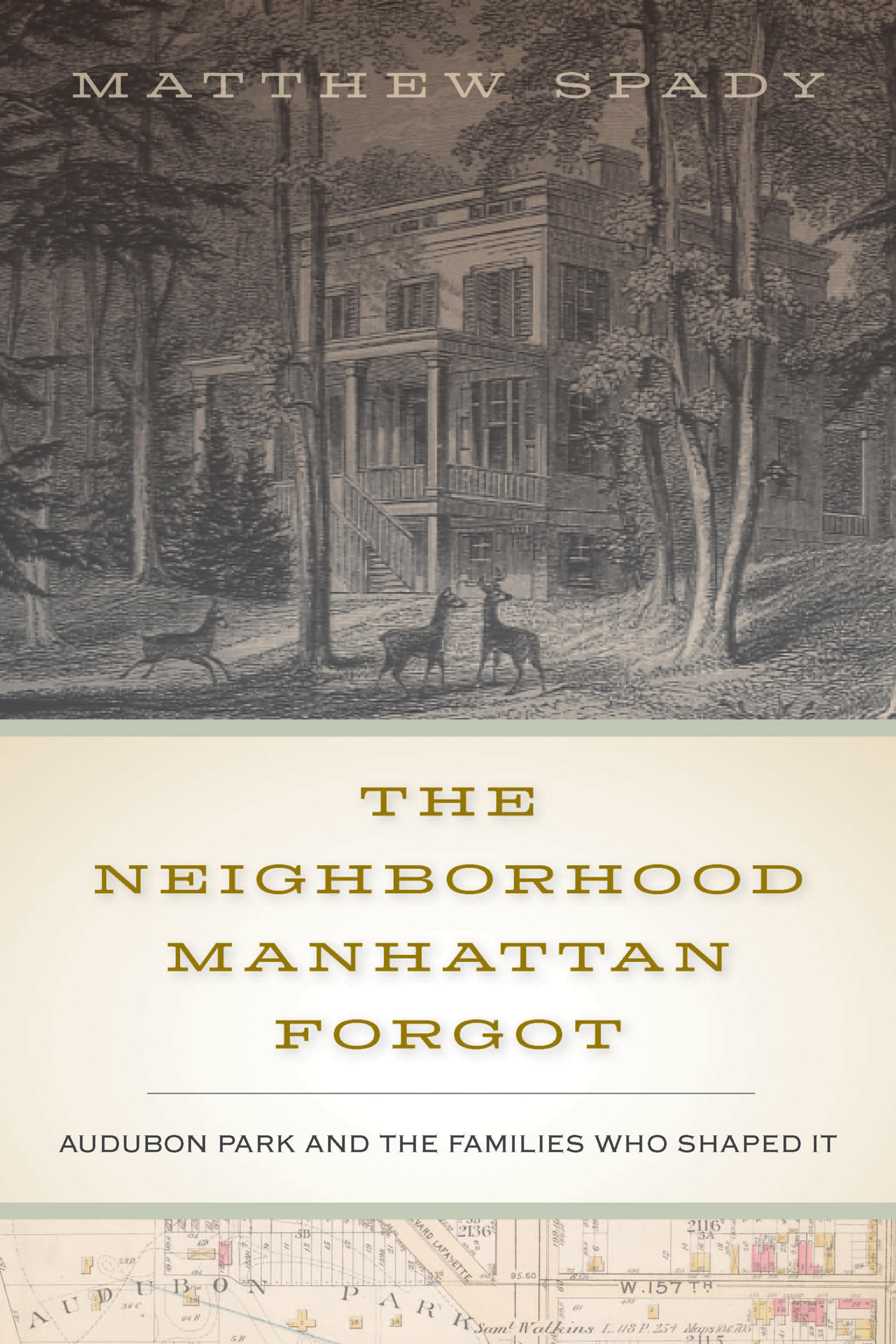 Cover image for The Neighborhood Manhattan Forgot