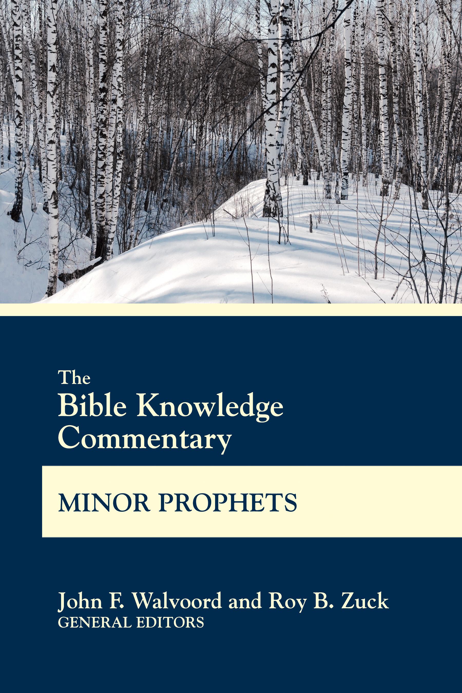 Cover image for The Bible Knowledge Commentary Minor Prophets