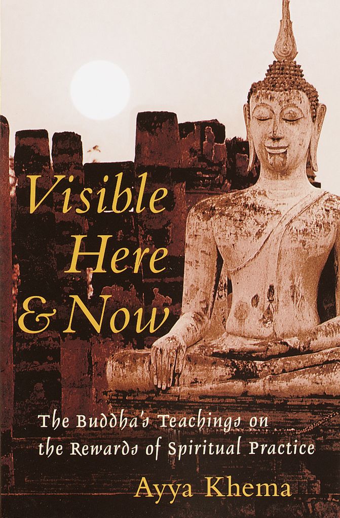 Cover image for Visible Here and Now