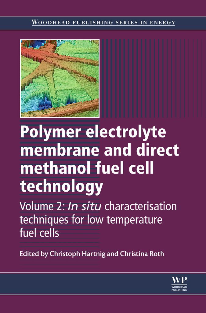 Cover image for Polymer Electrolyte Membrane and Direct Methanol Fuel Cell Technology