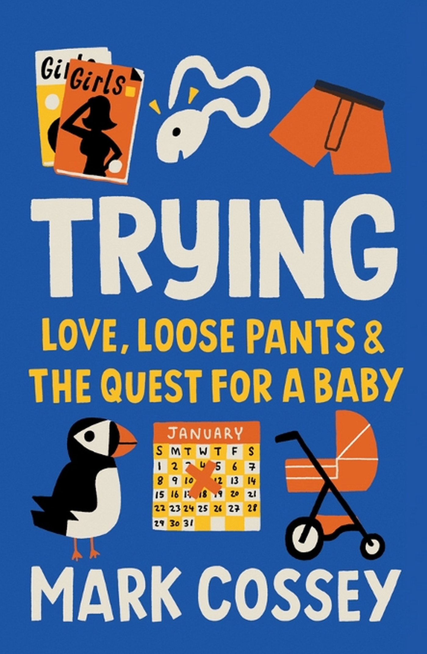 Cover image for Trying