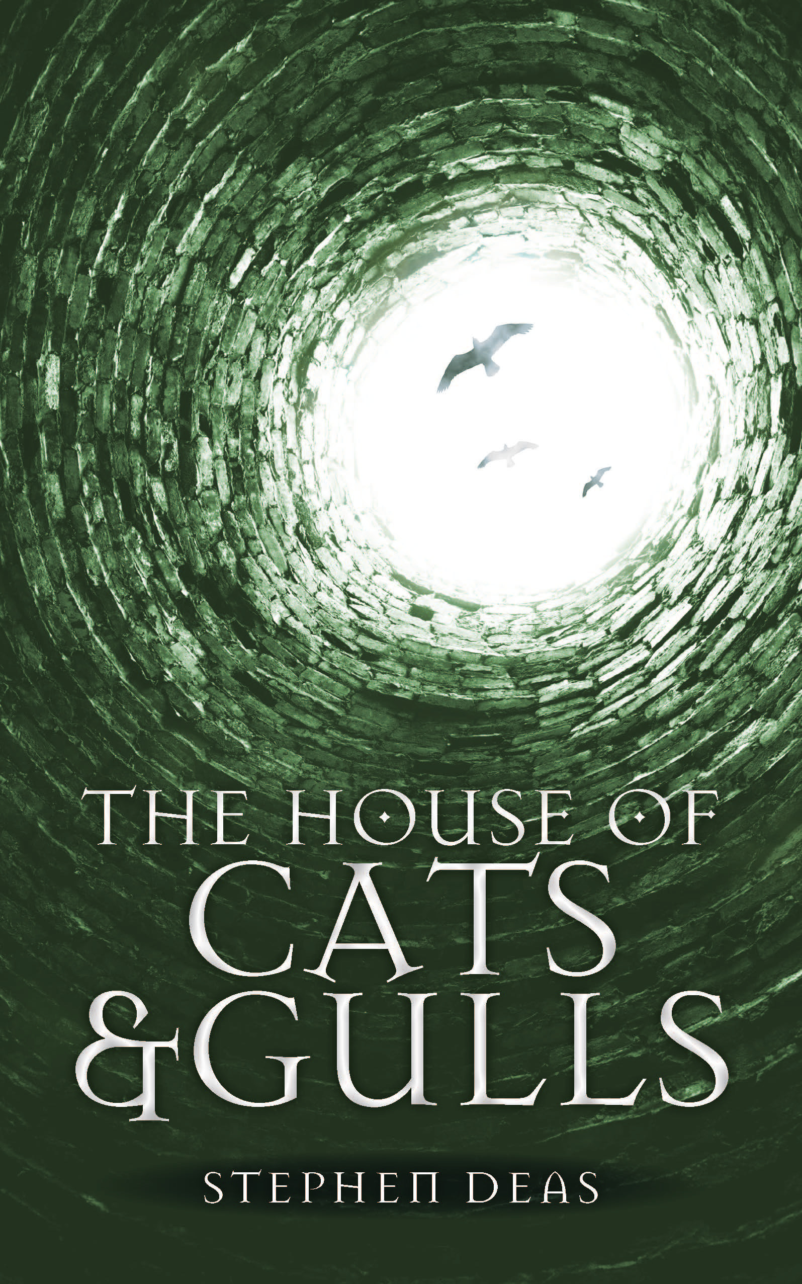 Cover image for The House of Cats and Gulls