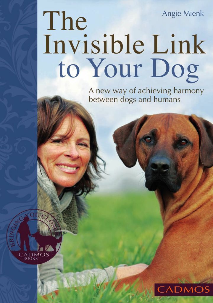 The Invisible Link to Your Dog