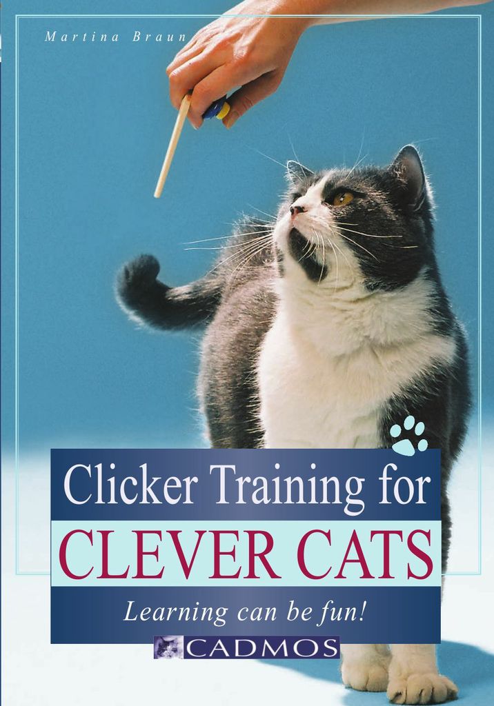 Clicker Training for Clever Cats