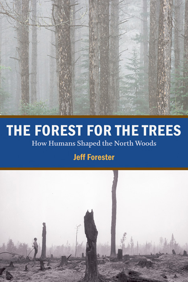 Cover image for The Forest for the Trees