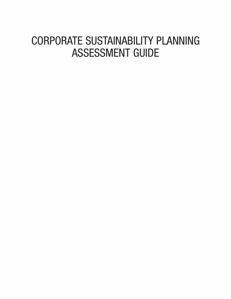 Corporate Sustainability Planning Assessment Guide