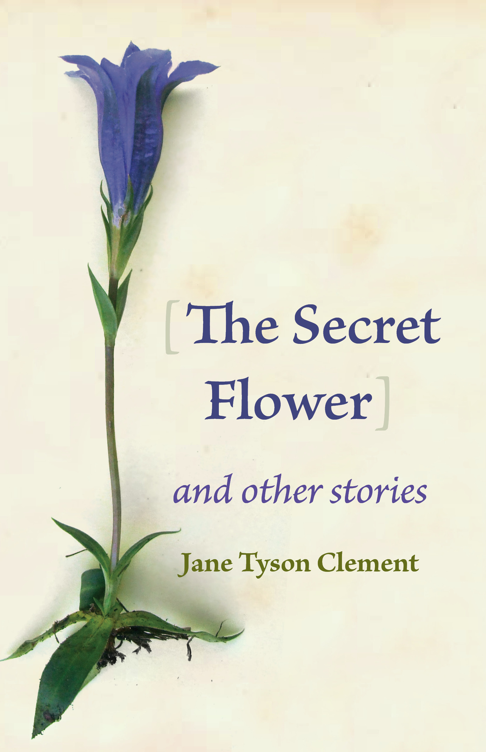 The Secret Flower