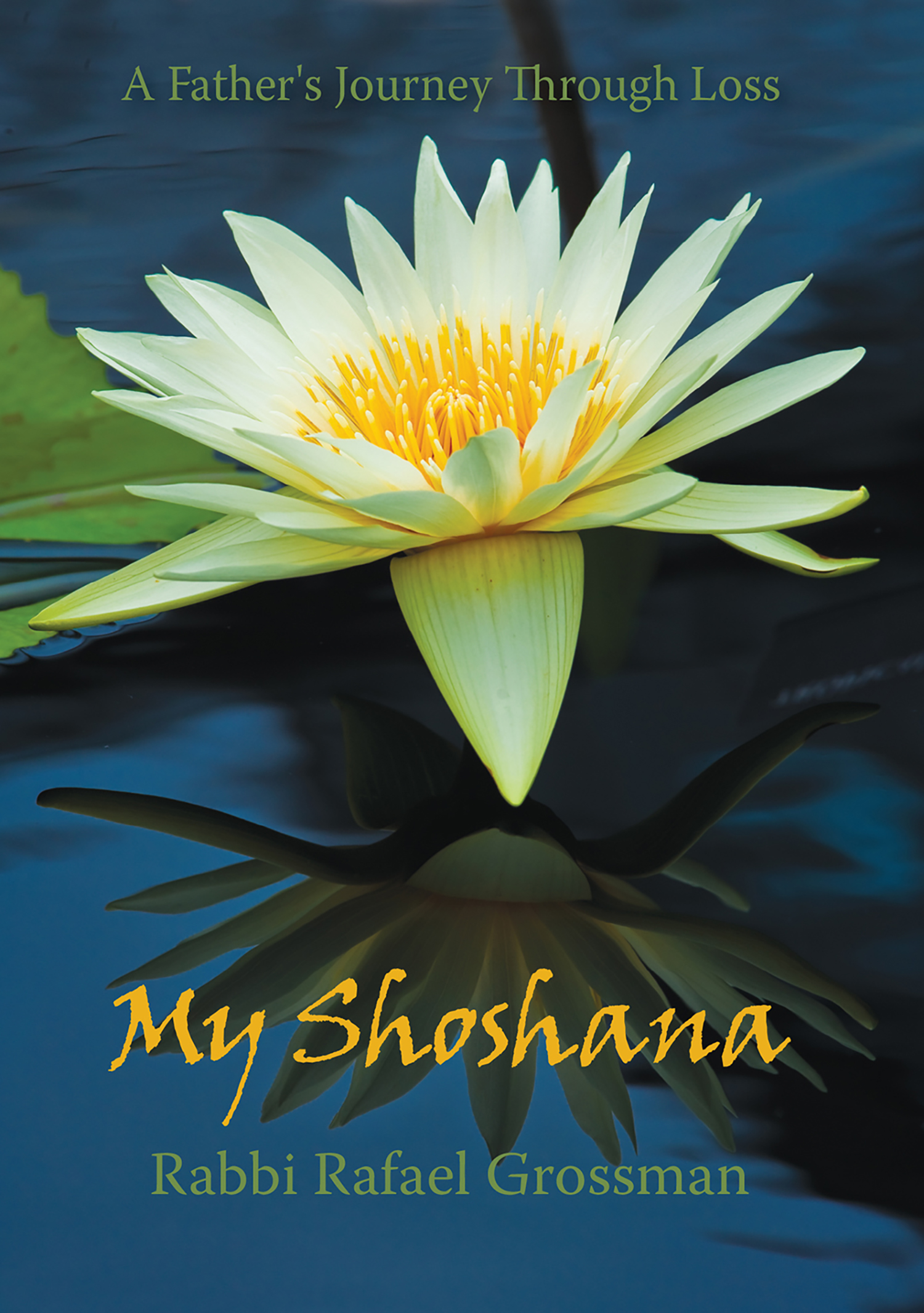 Cover image for My Shoshana
