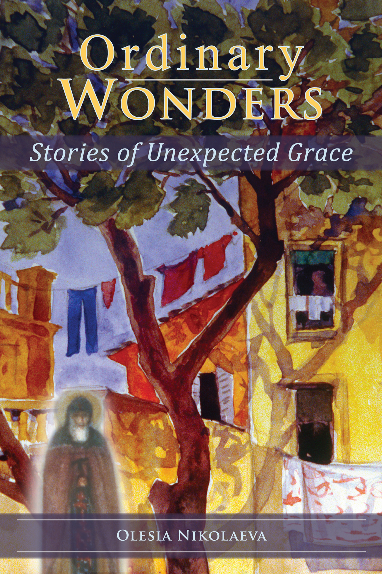 Cover image for Ordinary Wonders