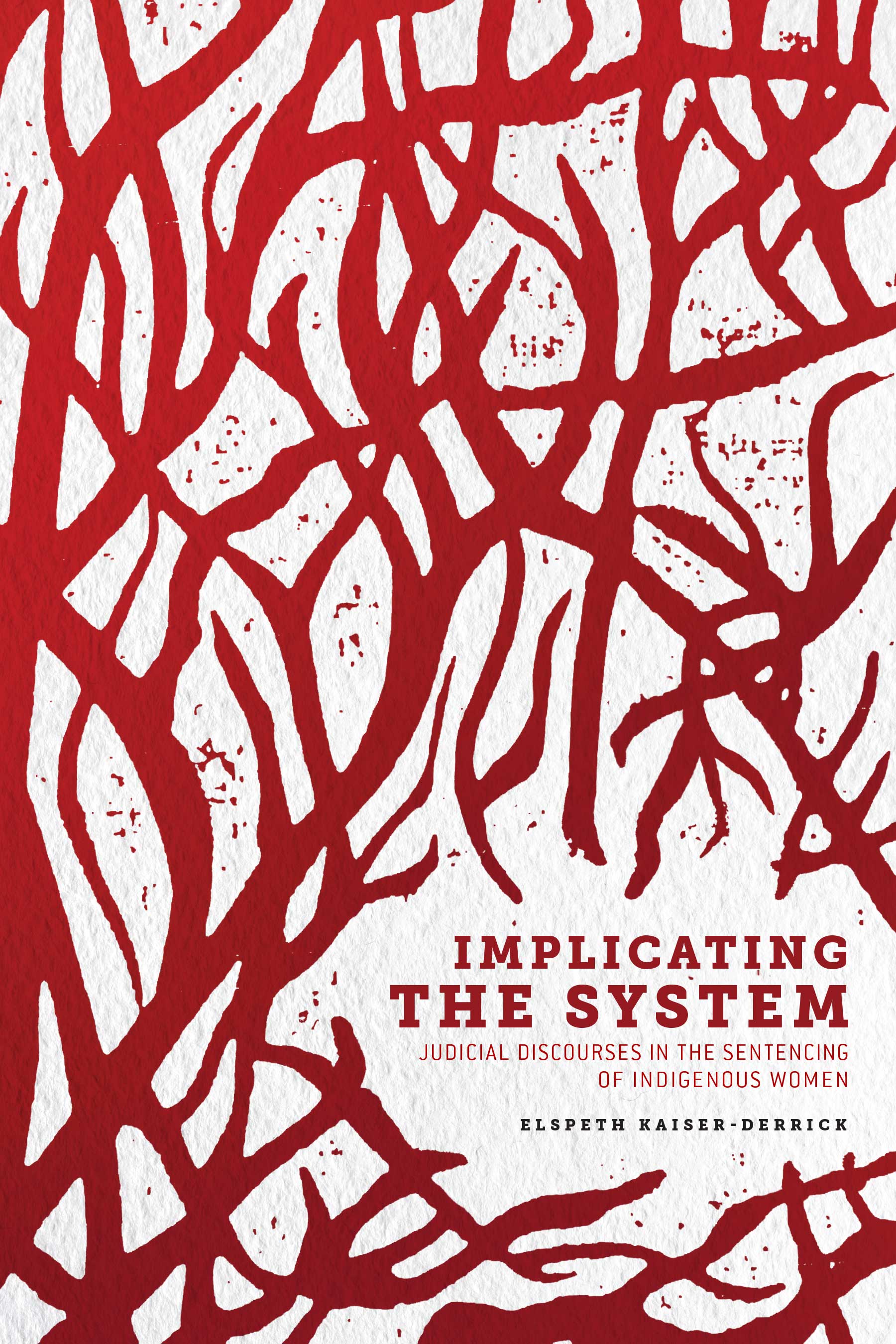 Cover image for Implicating the System