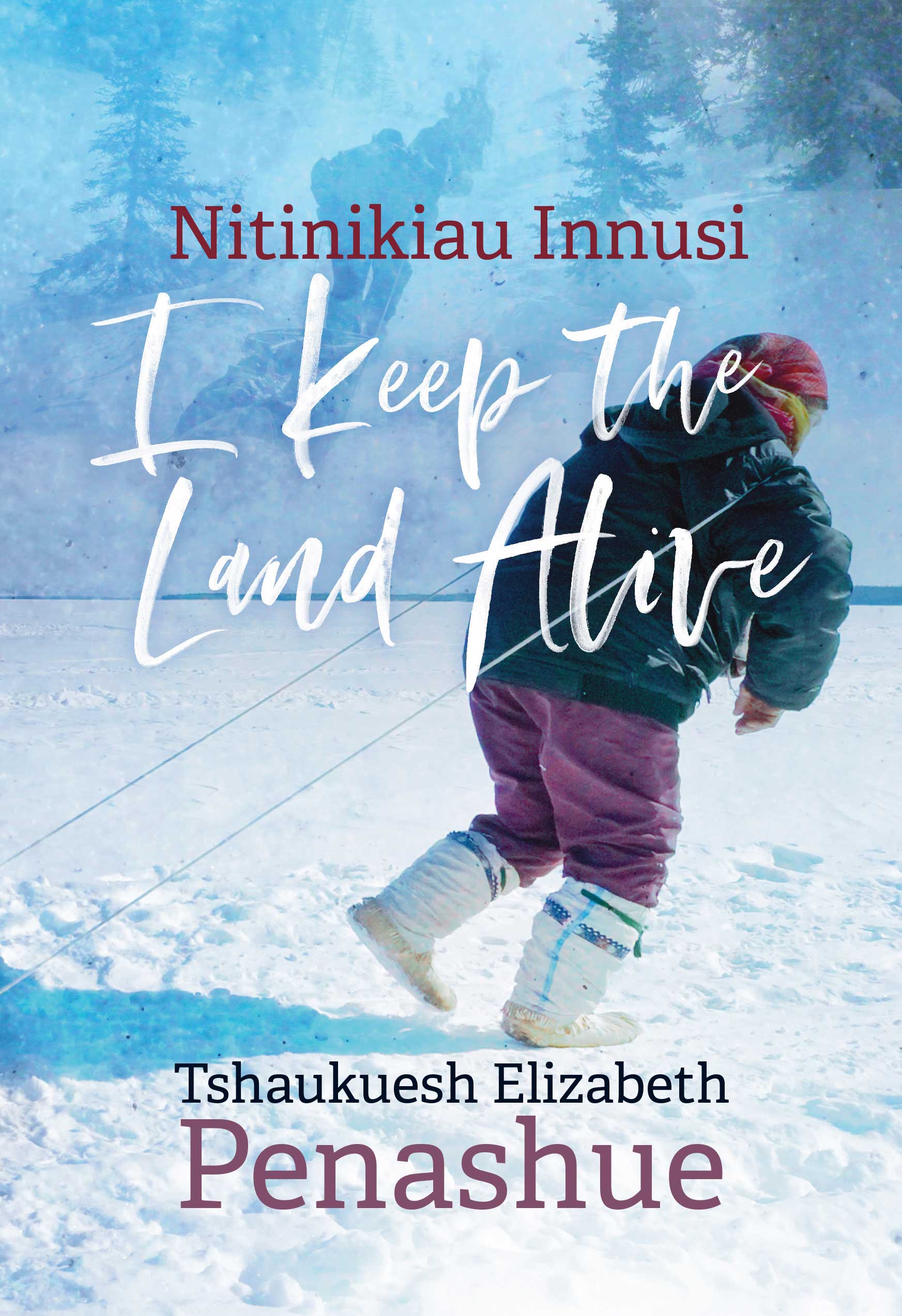 Cover image for Nitinikiau Innusi