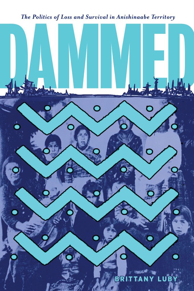 Cover image for Dammed