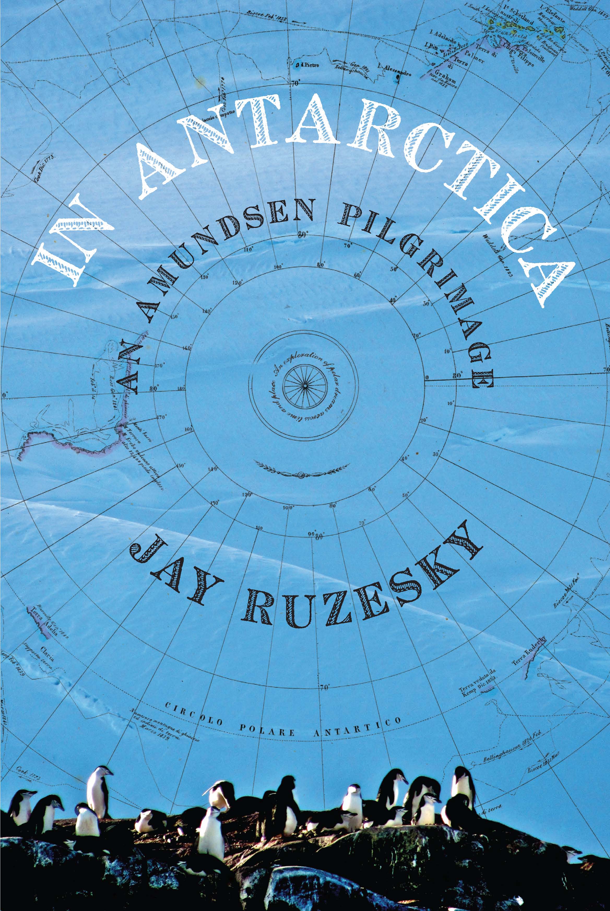 Cover image for In Antarctica