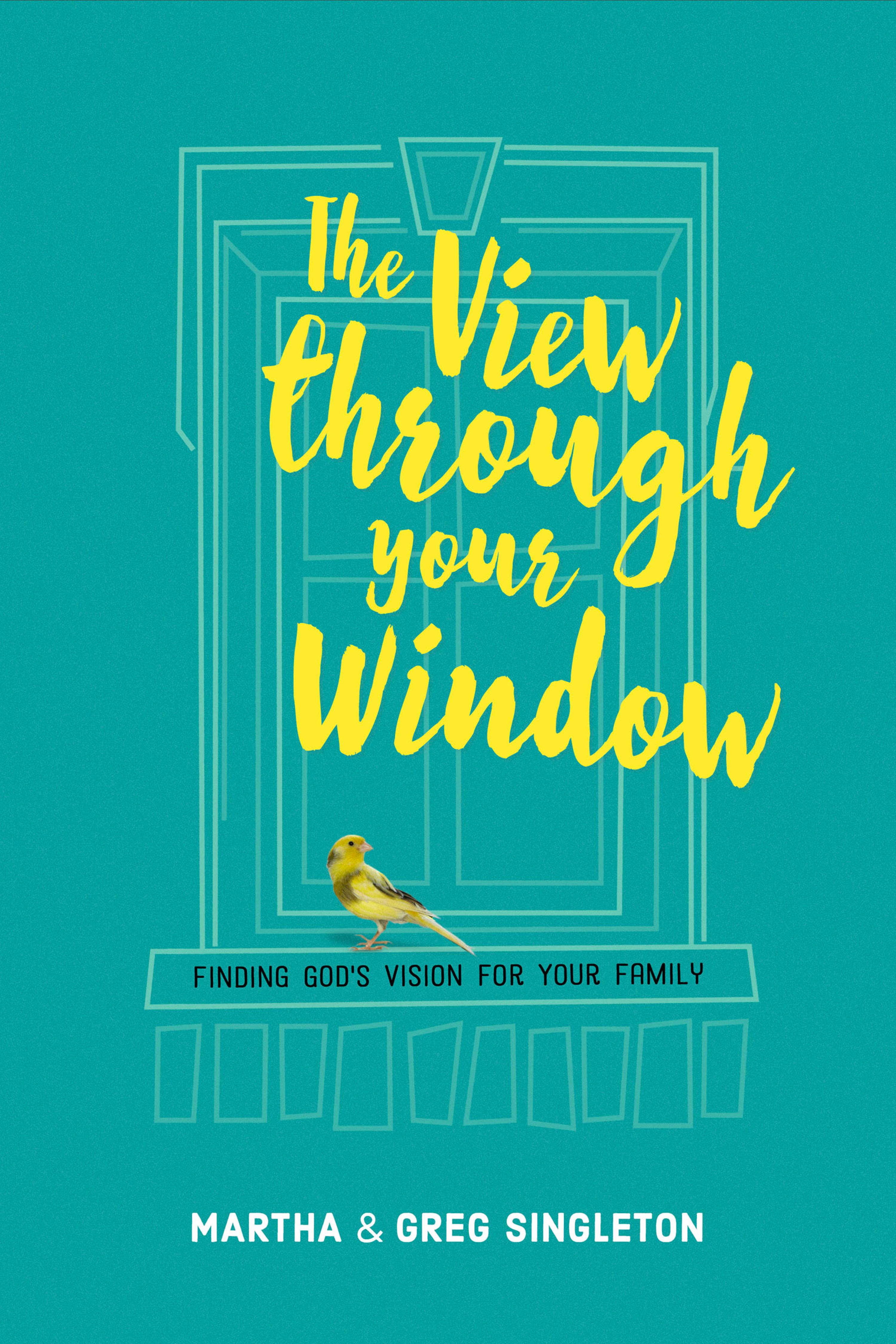 Cover image for The View through Your Window