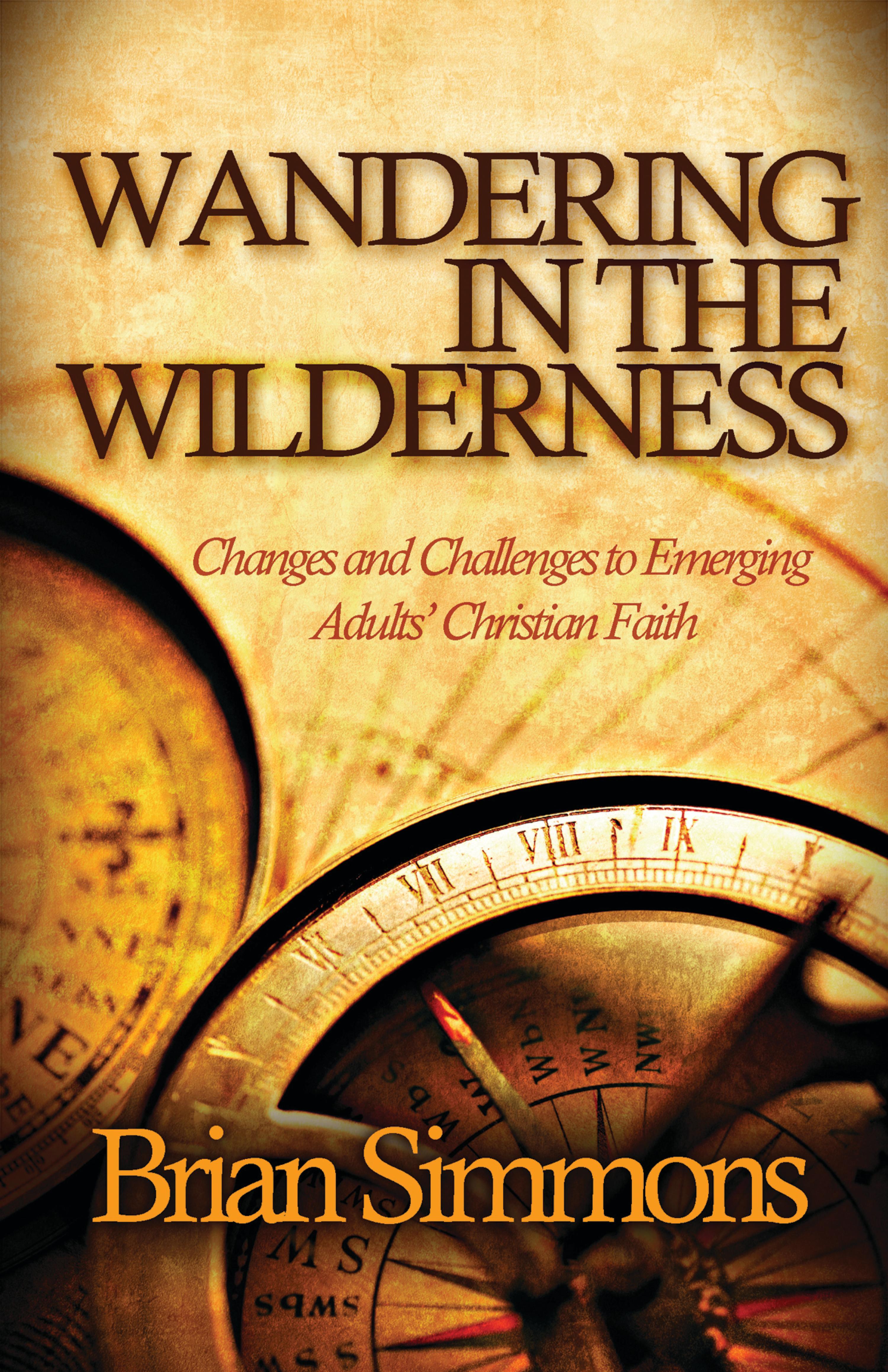 Cover image for Wandering in the Wilderness
