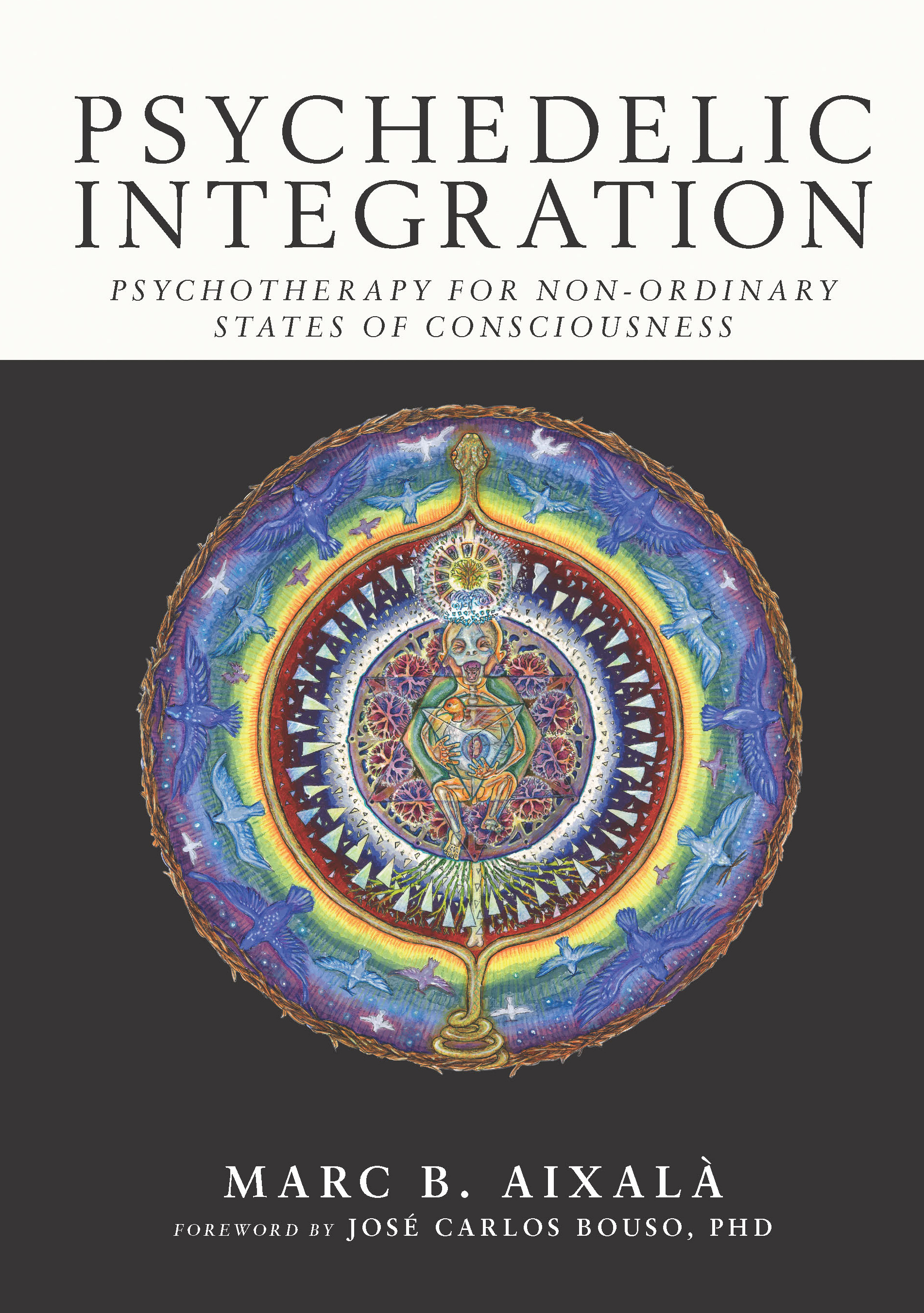 Cover image for Psychedelic Integration
