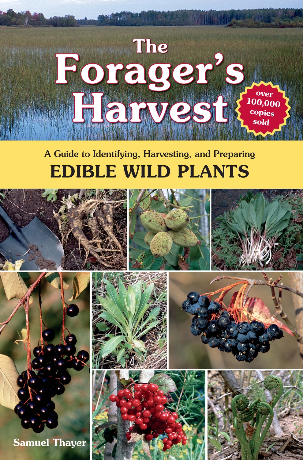 Cover image for The Forager's Harvest