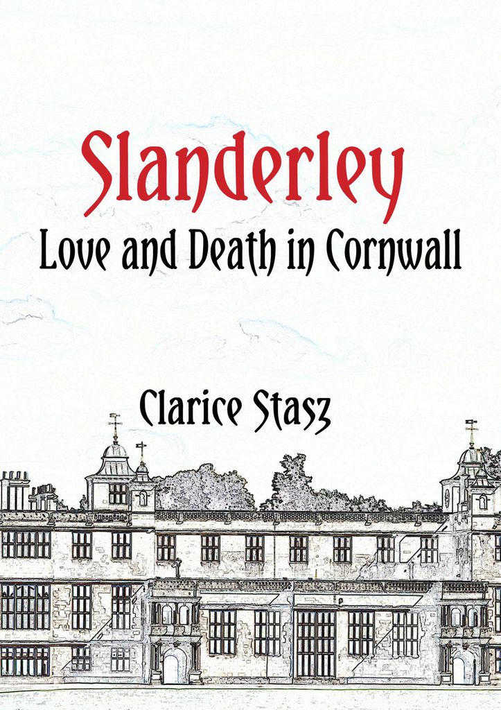 Cover image for Slanderley