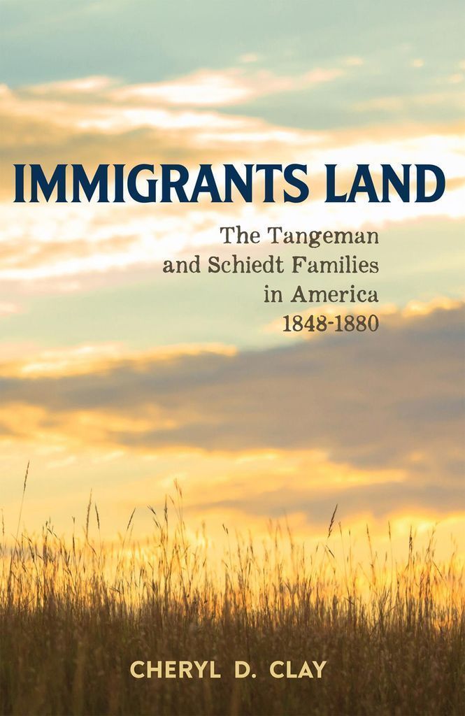 Cover image for Immigrants Land