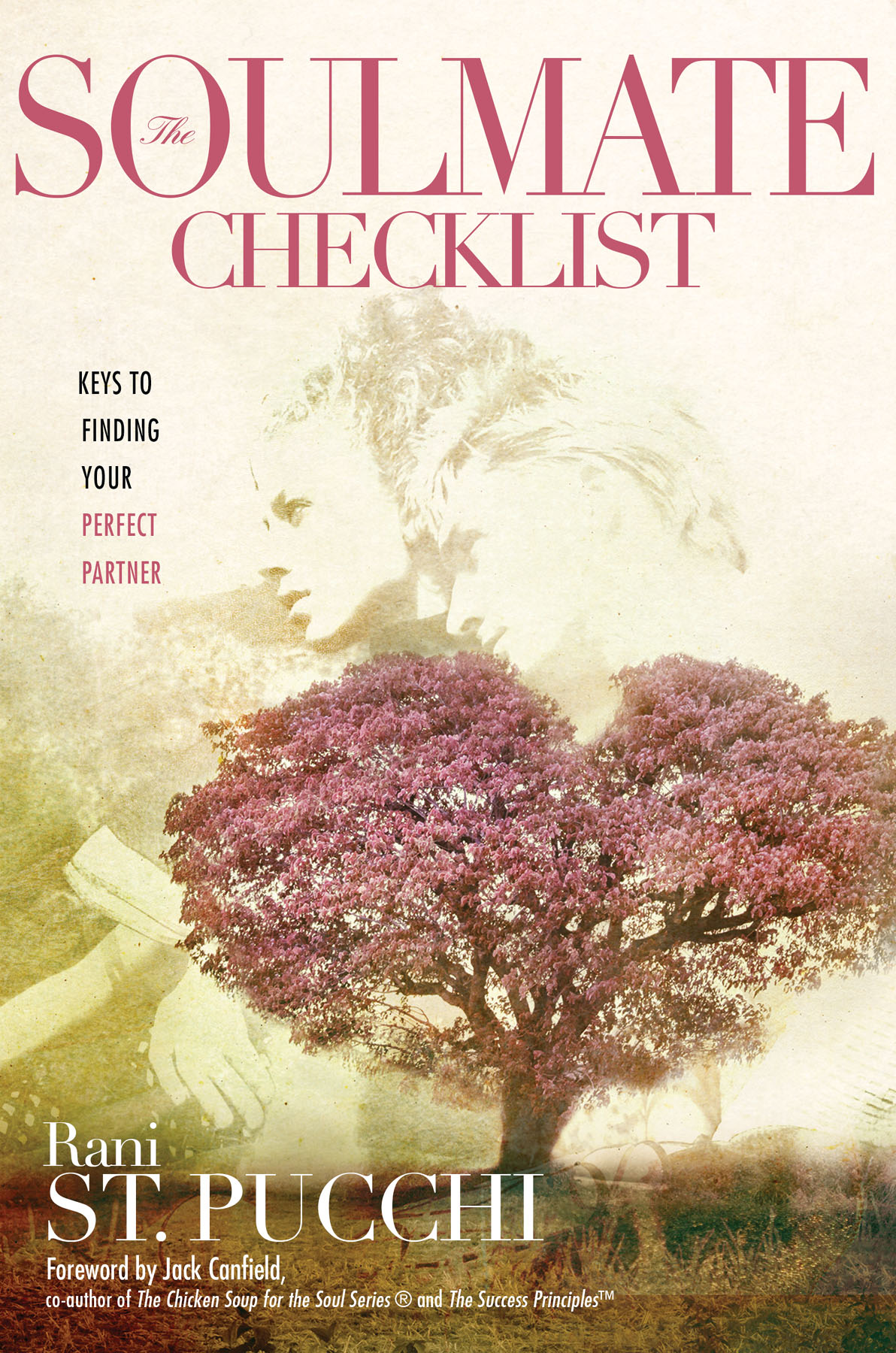 Cover image for The Soulmate Checklist