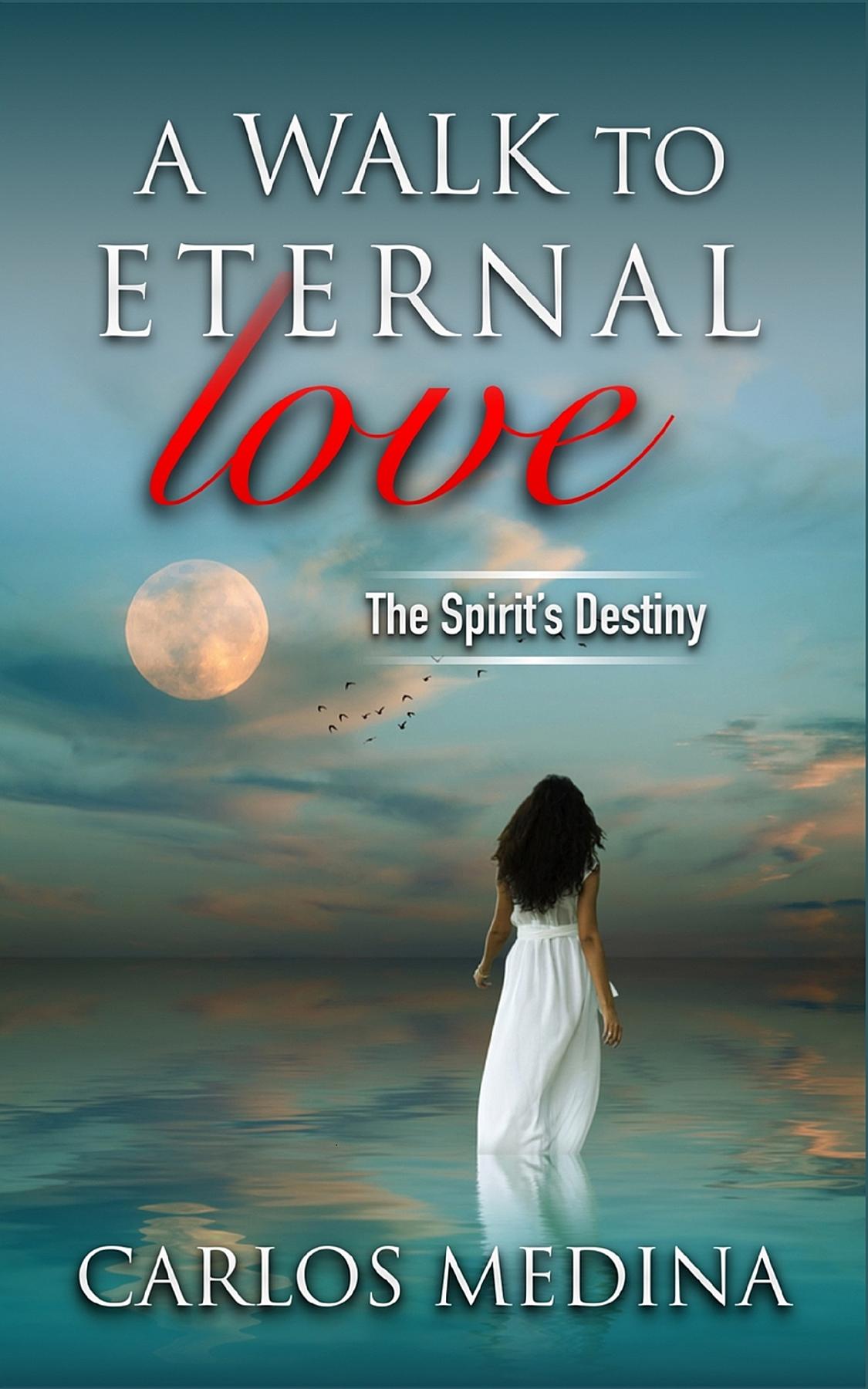 Cover image for A Walk to Eternal Love
