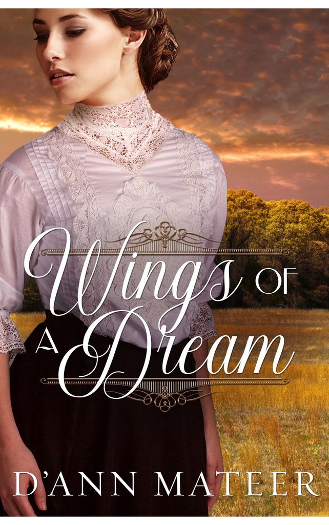 Cover image for Wings of a Dream