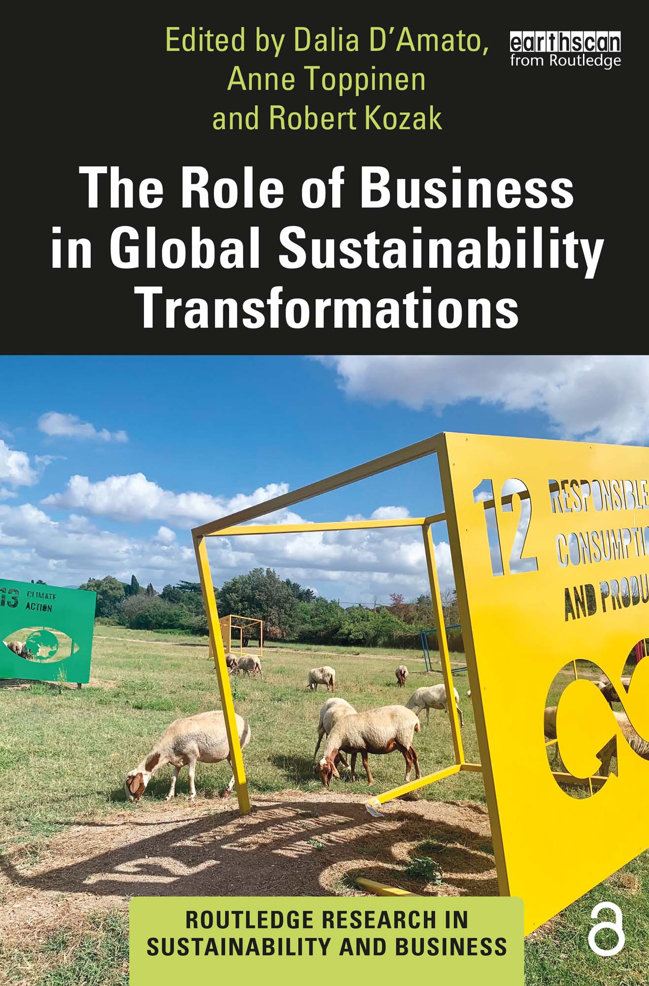 Cover image for The Role of Business in Global Sustainability Transformations