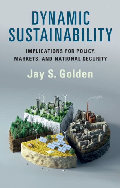 Cover image for Dynamic Sustainability